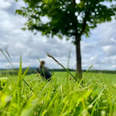 Отель Kulturgarden Bjerkem 4*